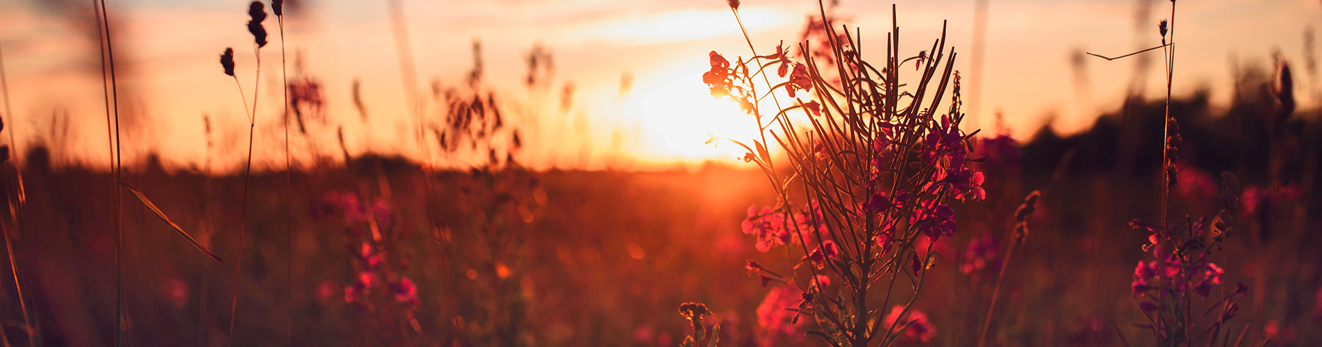 Авиакасса - купить авиабилеты в Чокурдах