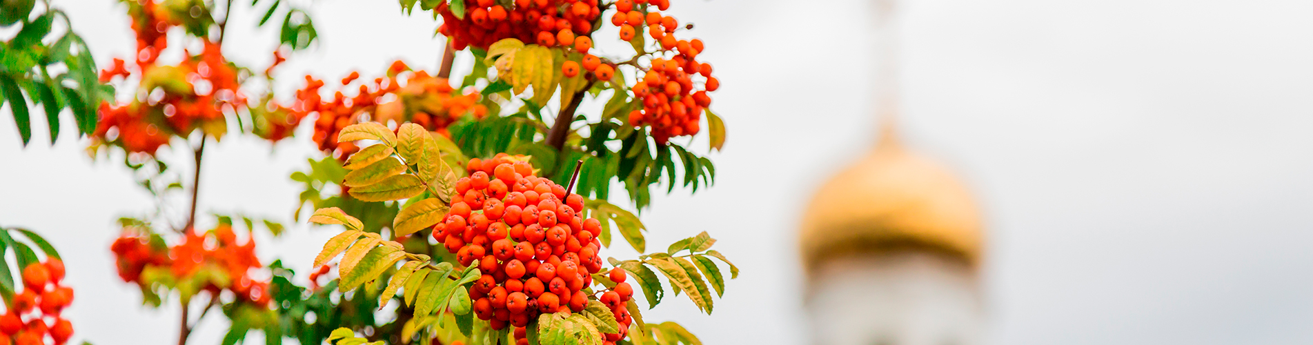 Авиакасса - купить авиабилеты в Тикси