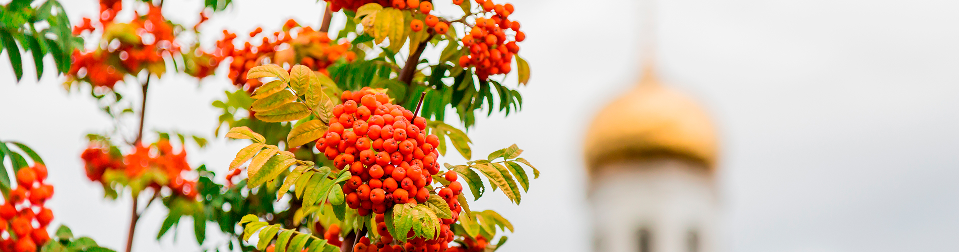 Авиакасса - купить авиабилеты в Олёкминск