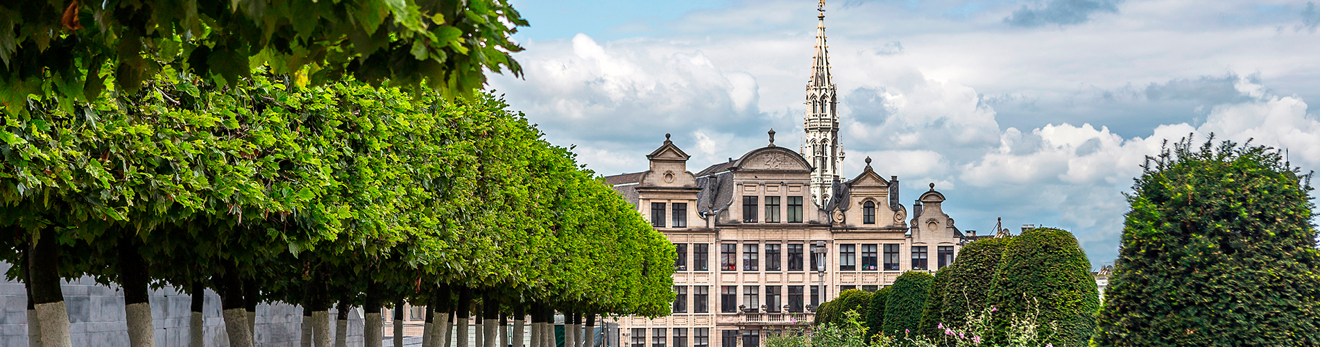 Авиакасса - купить авиабилеты в Брюгге