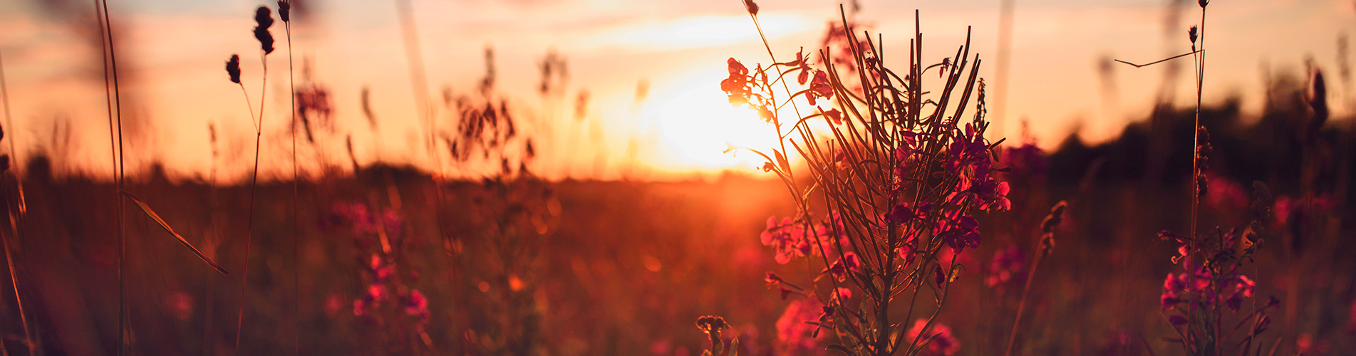 Авиакасса - купить авиабилеты в Печору