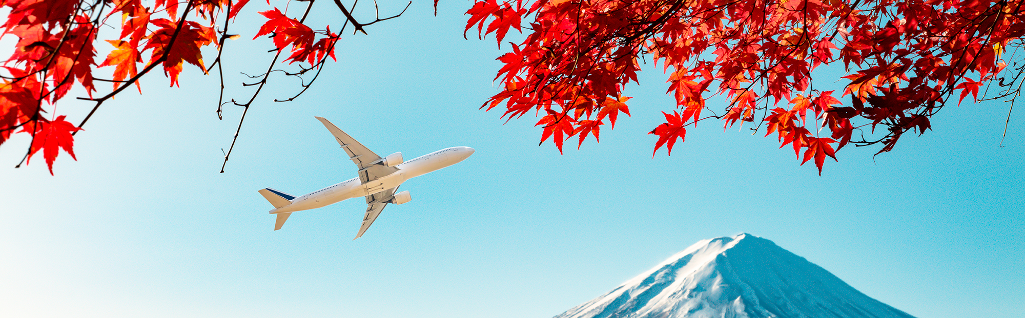 Купить авиабилеты дешево