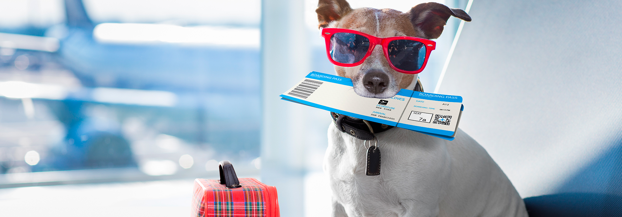 Акция: дешевые авиабилеты Победы - от 999 рублей