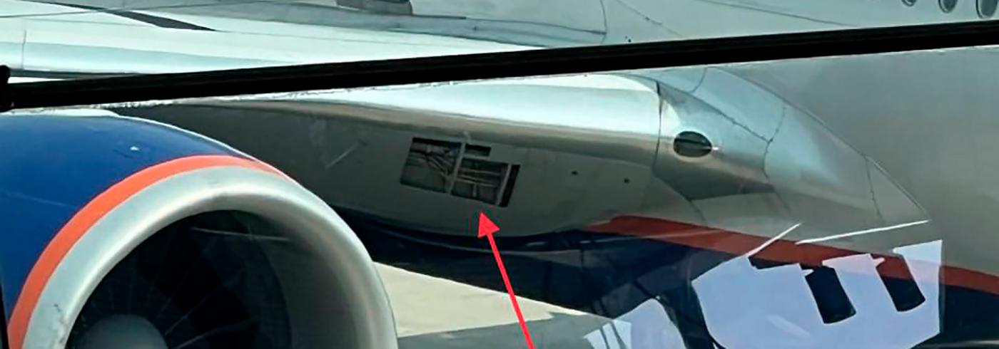 Фото: телеграм-канал @aviatorshina