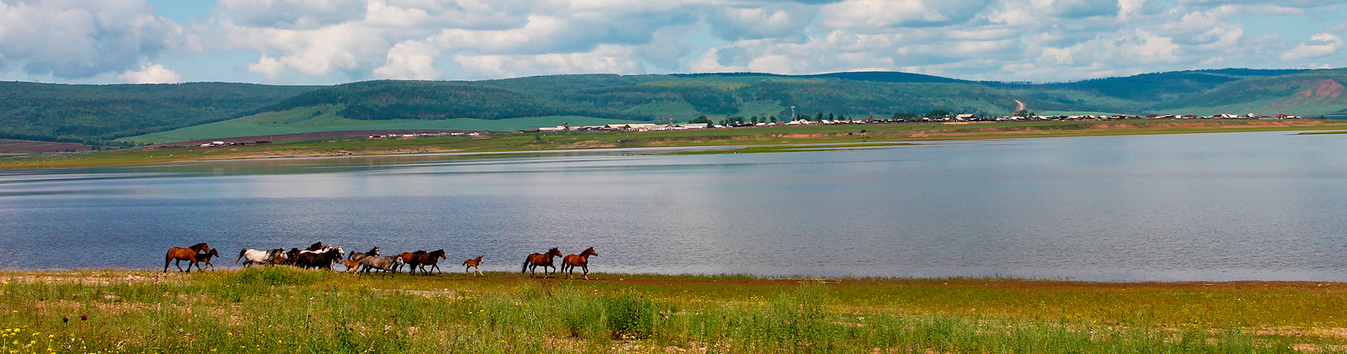 Авиабилеты в Братск