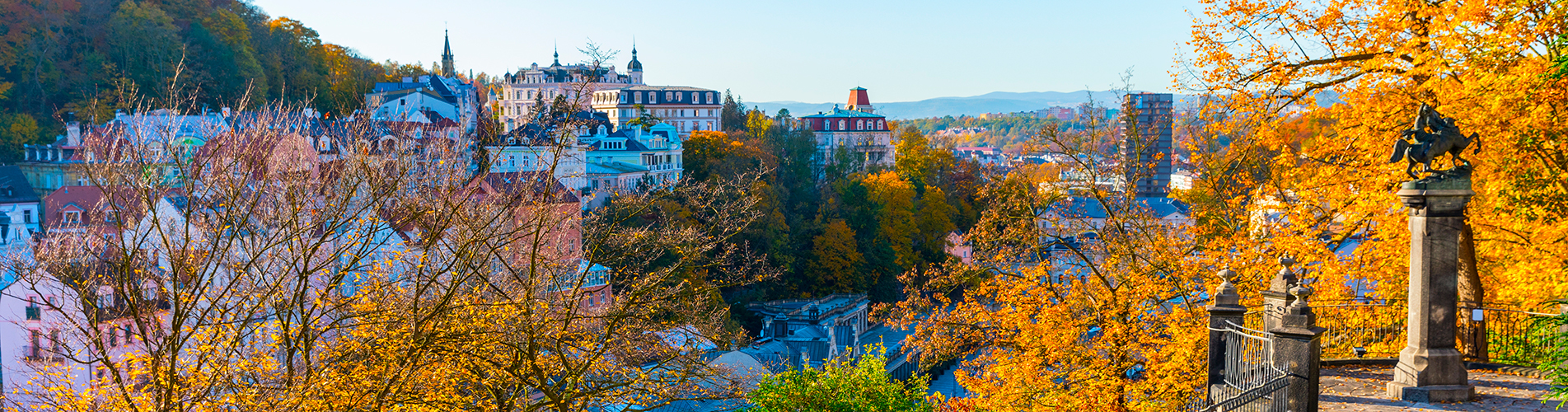 Авиабилеты в Карловы-Вары