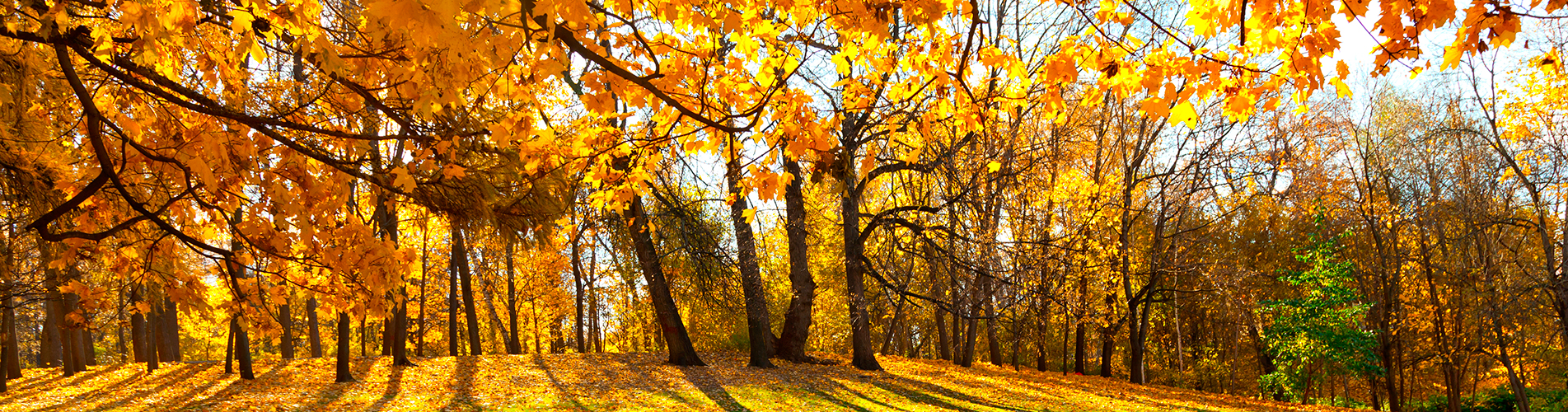 Авиабилеты в Орск