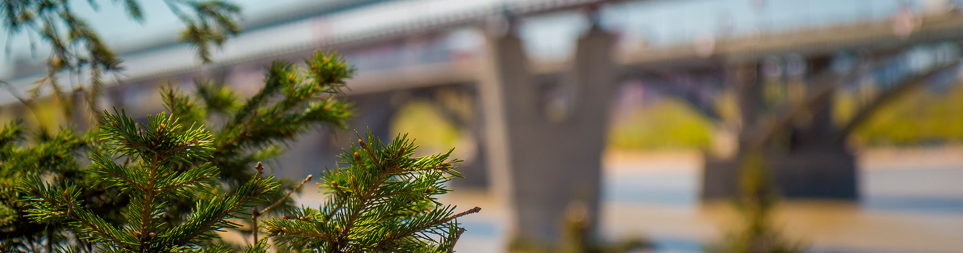 Авиабилеты в Новосибирск