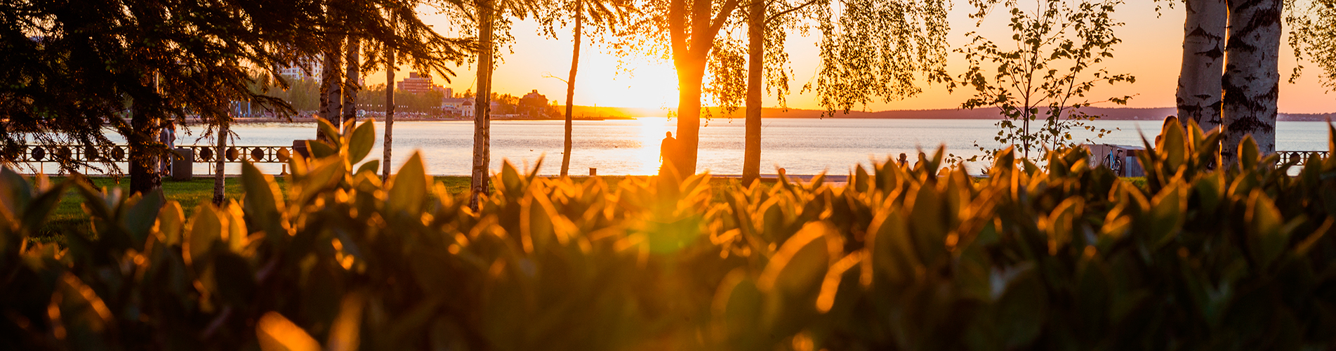 Авиабилеты в Петрозаводск