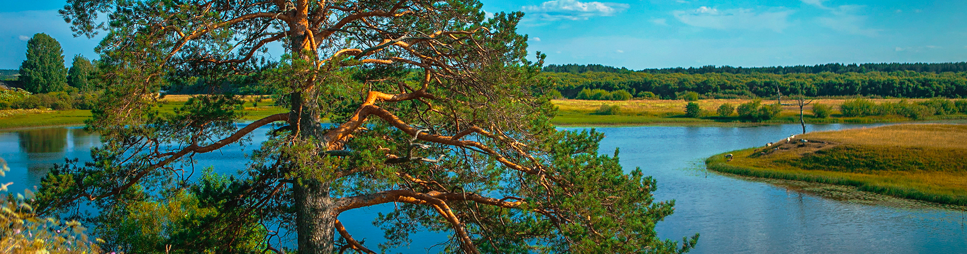 Авиабилеты в Ухту