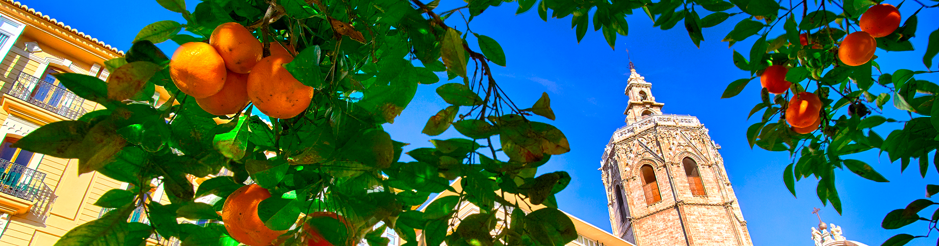 Авиабилеты в Валенсию