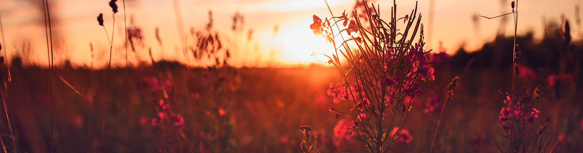 Аэропорт  Ербогачен