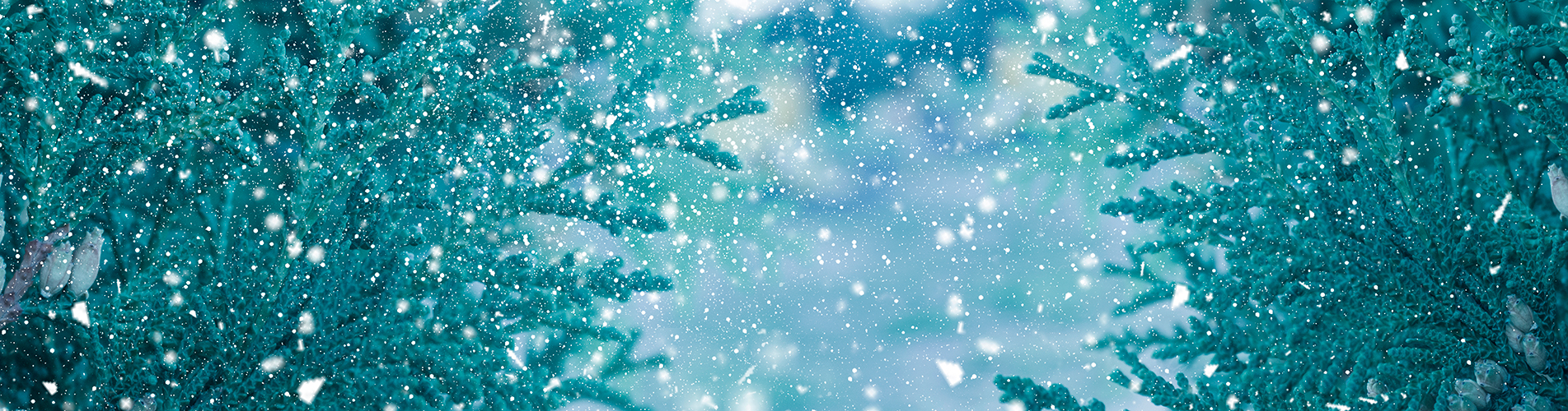 Аэропорт  Советский