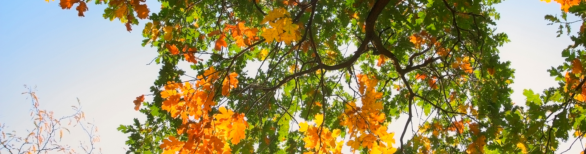 Аэропорт  Среднеколымск