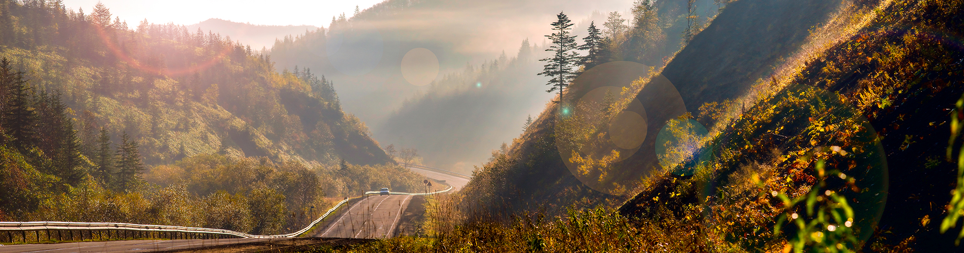 Аэропорт  Пластун