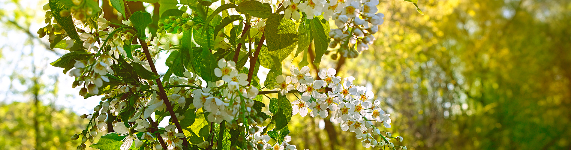 Аэропорт  Зырянка